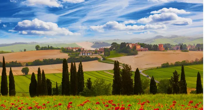 Ländliche Landschaft mit blühenden Mohnblumen,Toskana,Italien