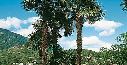 Lago Maggiore - der See der Seen